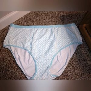 Catherine's Light Blue Panties Sz. 15